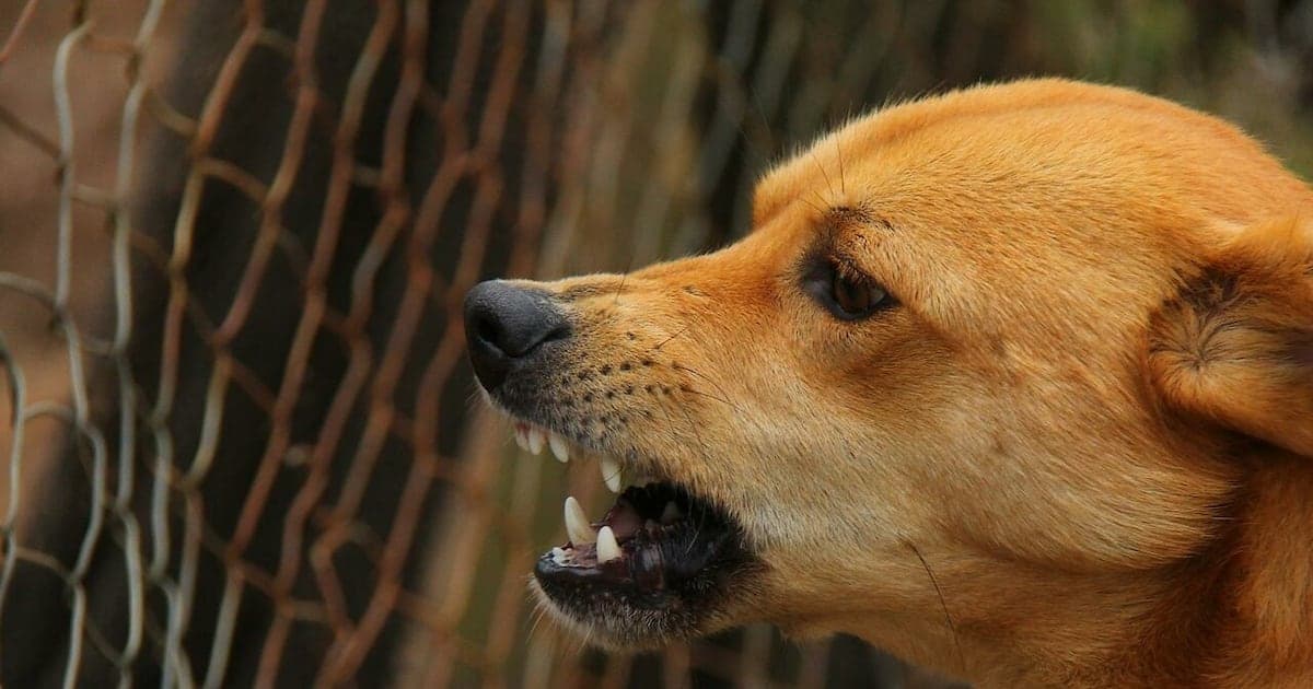 Martil: incident mineur lors d'une inspection municipale