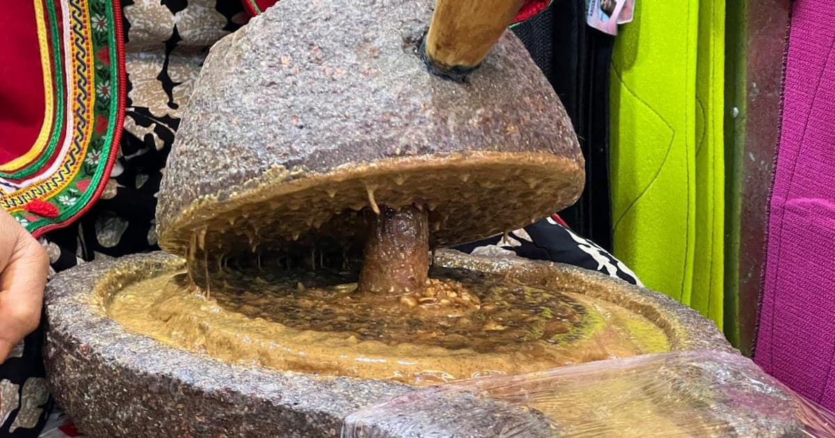 L'huile d'argan marocaine, un or liquide qui conquiert le monde