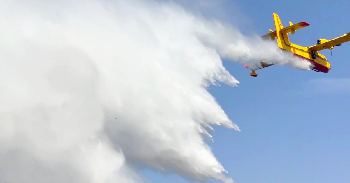 Lutte contre les incendies : le Maroc réduit d’un tiers les surfaces brûlées grâce à une stratégie d’anticipation