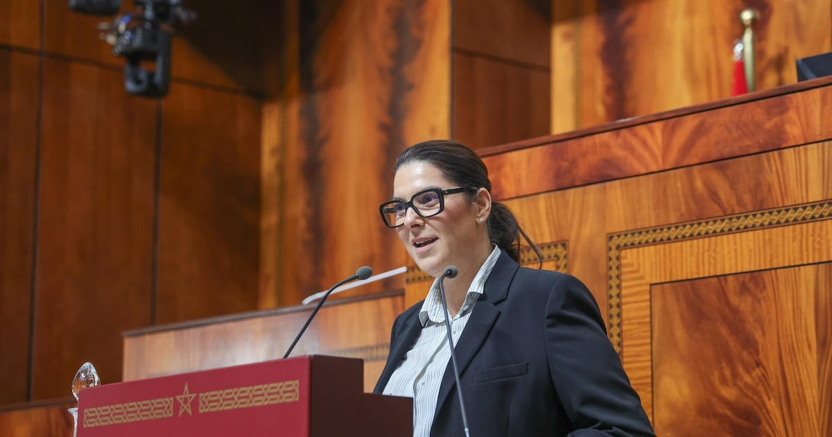 Chambre des représentants : onze ministres députés quittent leur siège